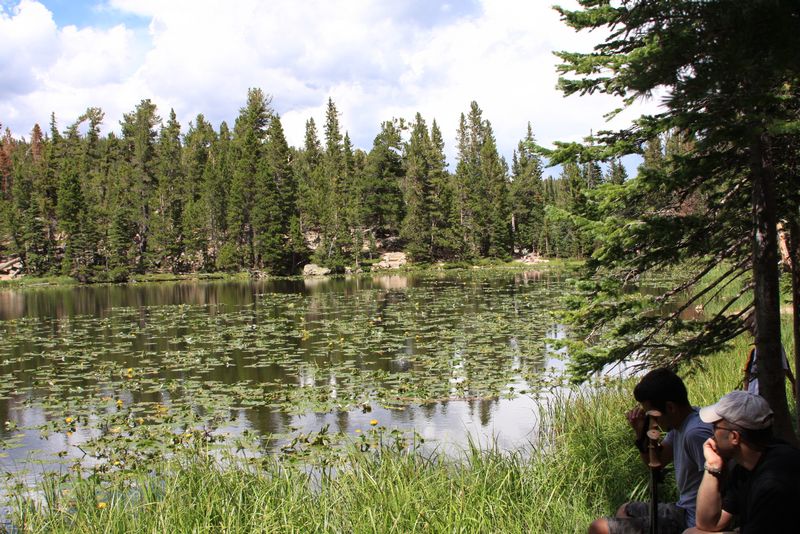 Click to see next picture