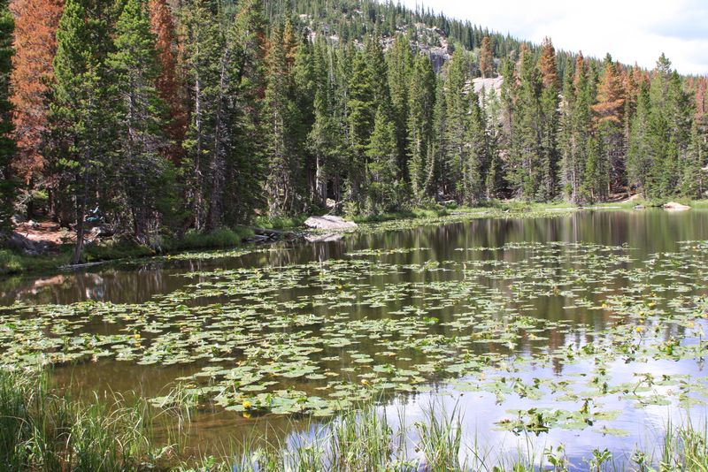 Click to see next picture