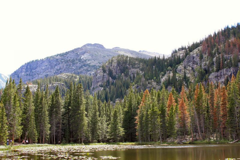 Click to see next picture