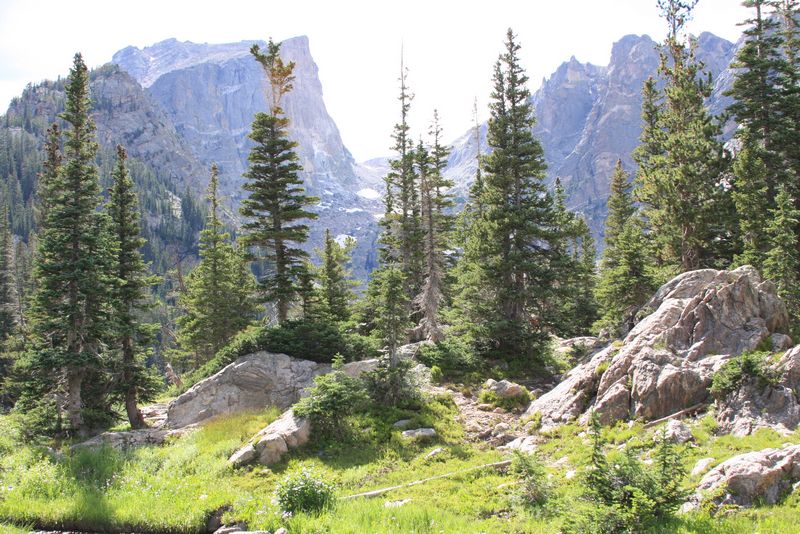 Click to see next picture