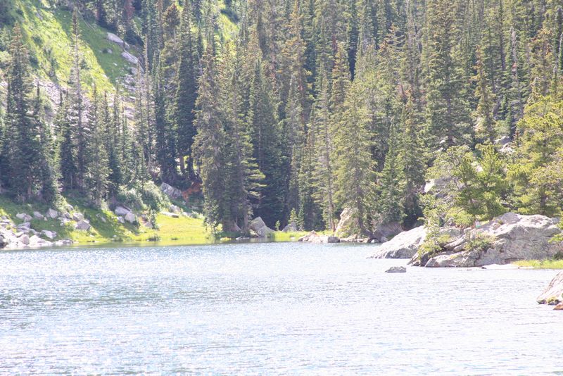 Click to see next picture