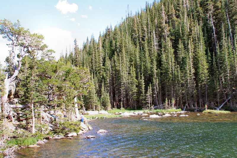 Click to see next picture