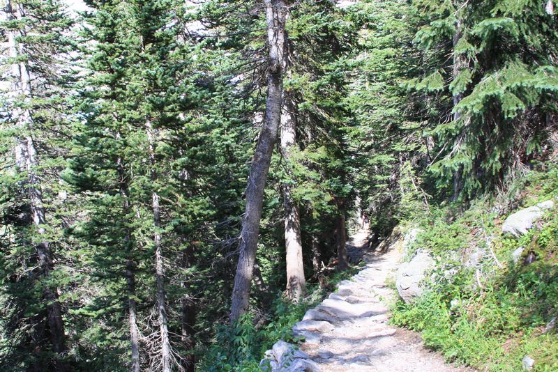 Click to see next picture