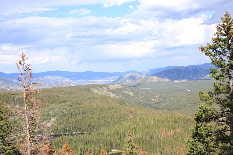 Click to see next picture