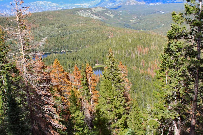 Click to see next picture