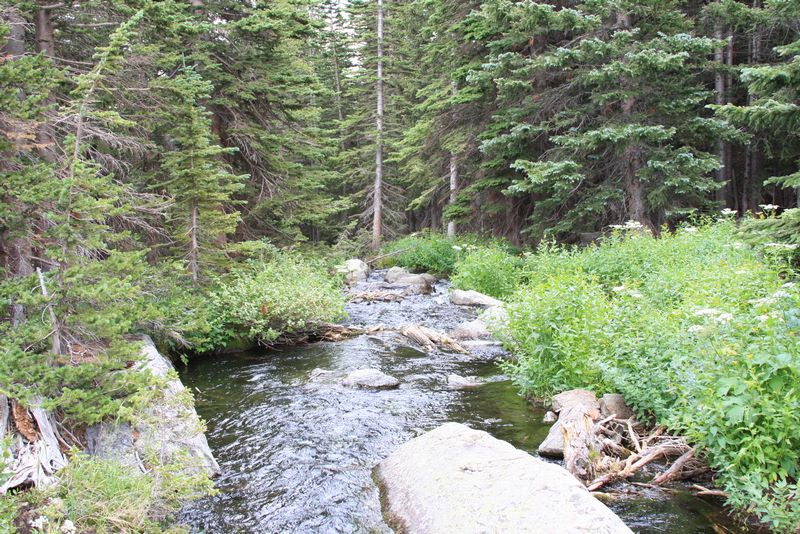 Click to see next picture