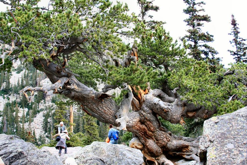 Click to see next picture