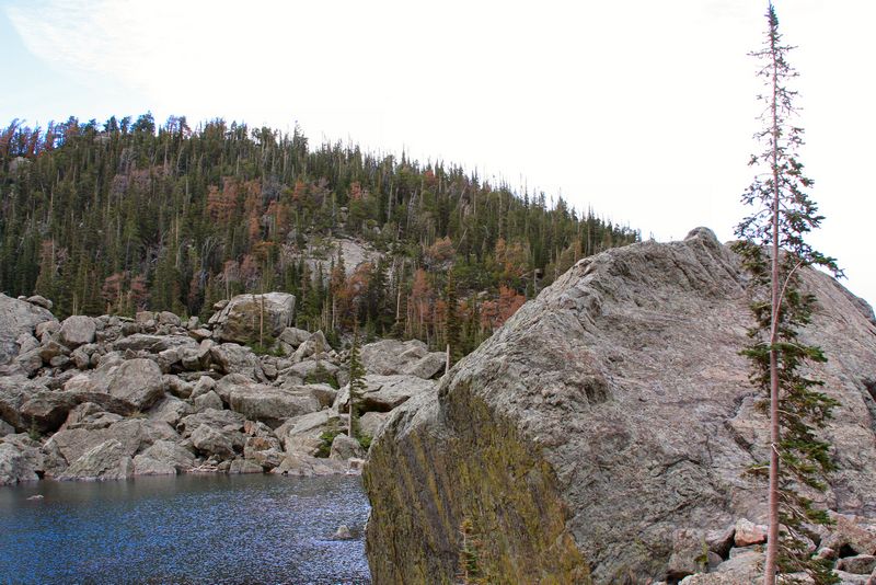 Click to see next picture