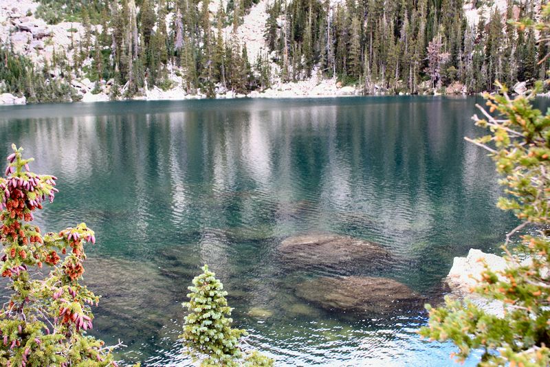 Click to see next picture