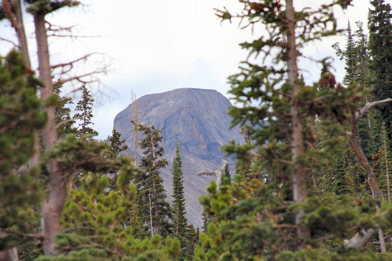 Click to see next picture