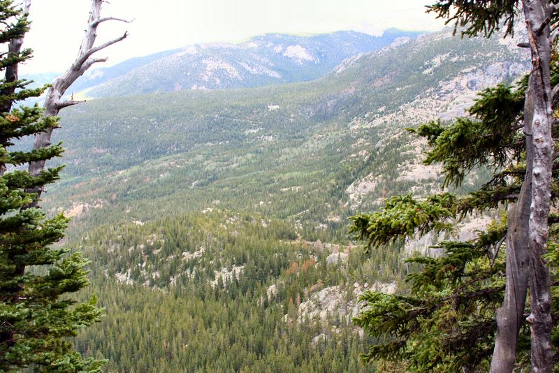 Click to see next picture