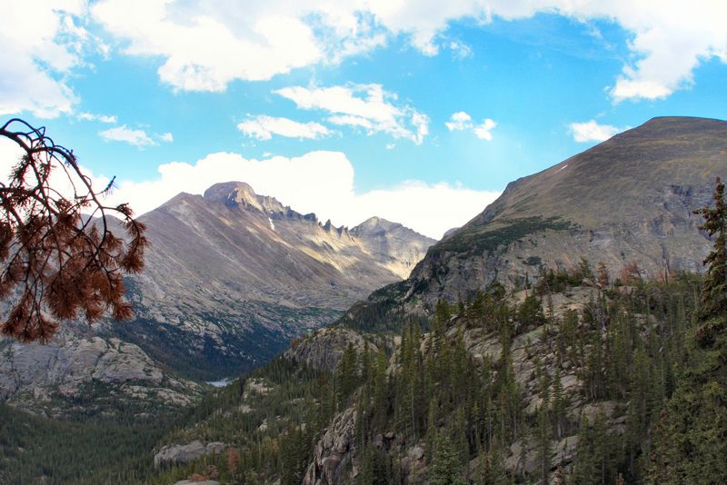 Click to see thumbs page