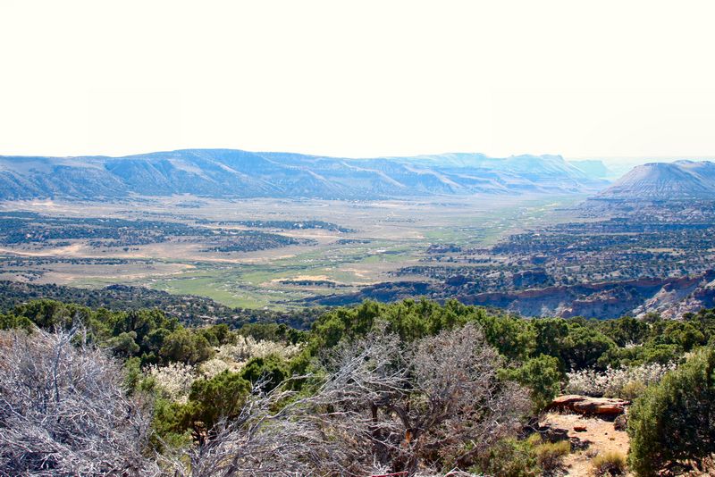 Click to see next picture