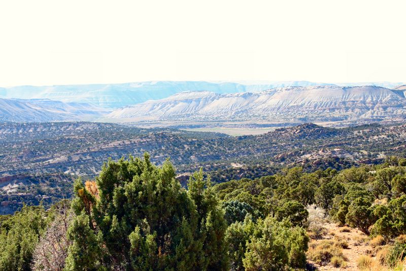 Click to see next picture