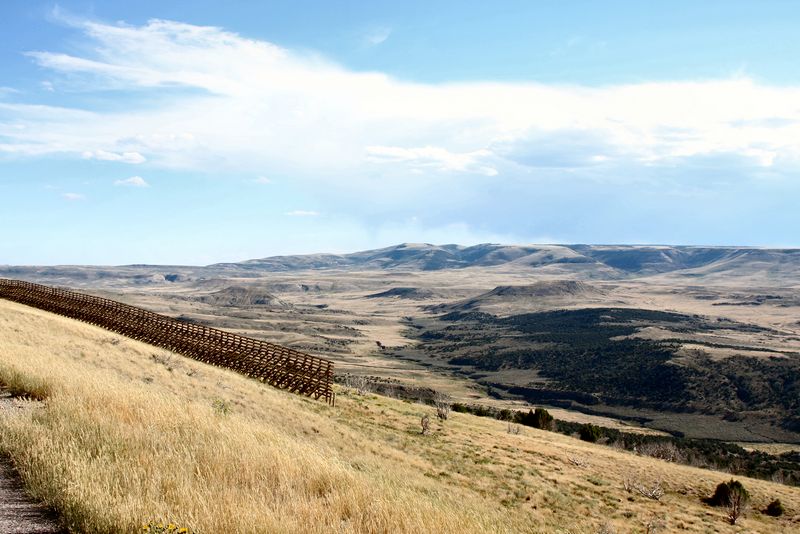 Click to see next picture