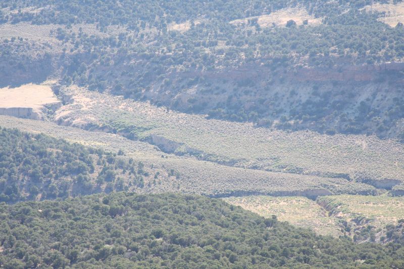 Click to see next picture