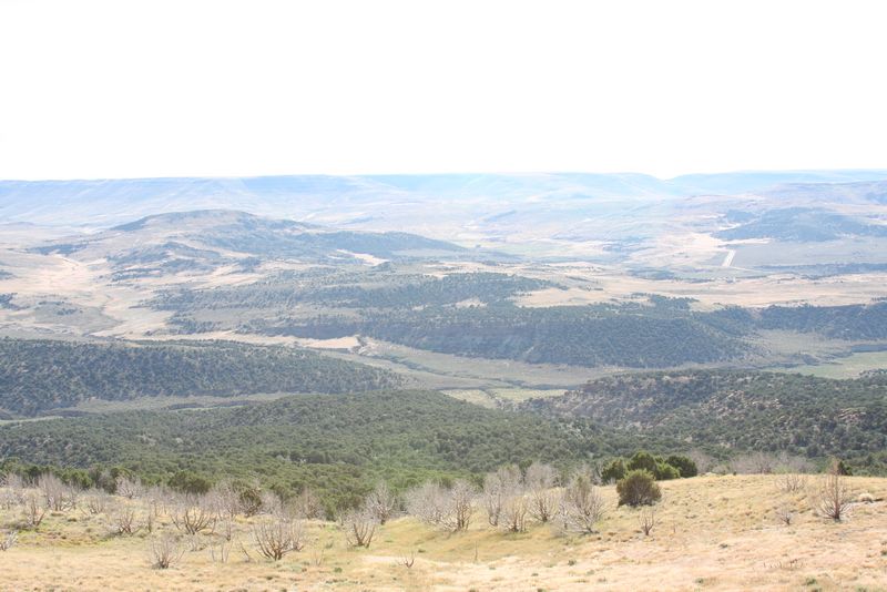 Click to see next picture