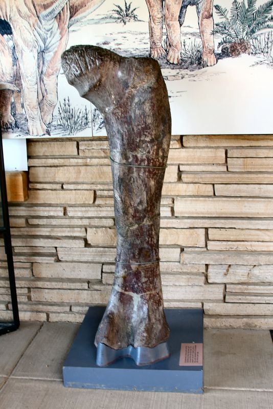 Click to see next picture