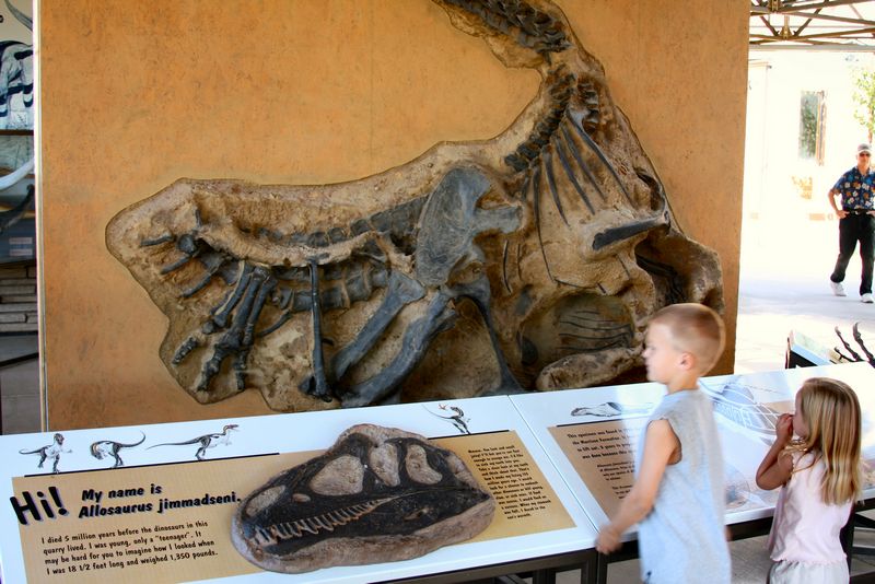 Click to see next picture