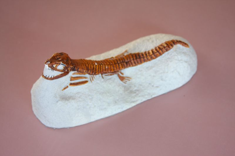 Click to see next picture