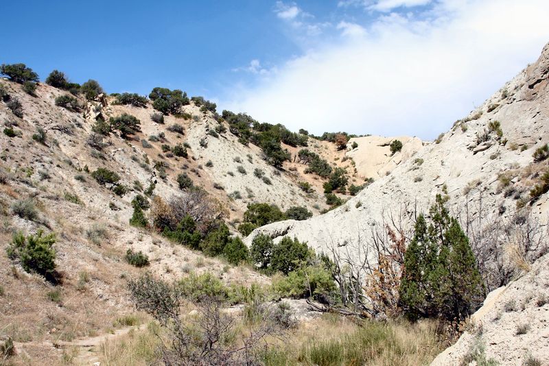 Click to see next picture