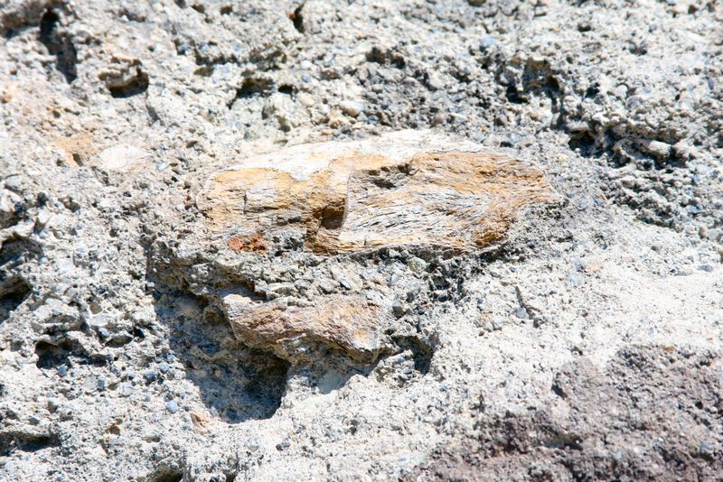 Click to see next picture