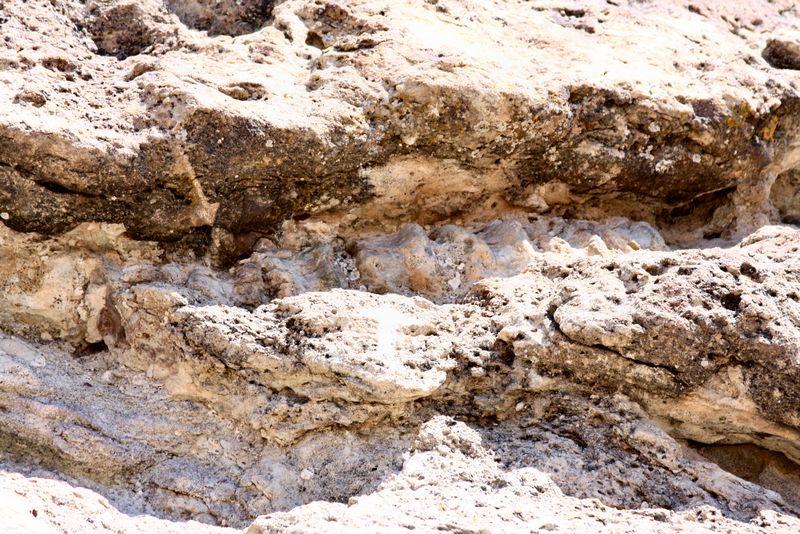 Click to see next picture