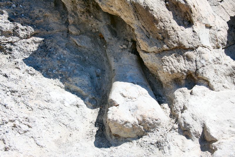 Click to see next picture