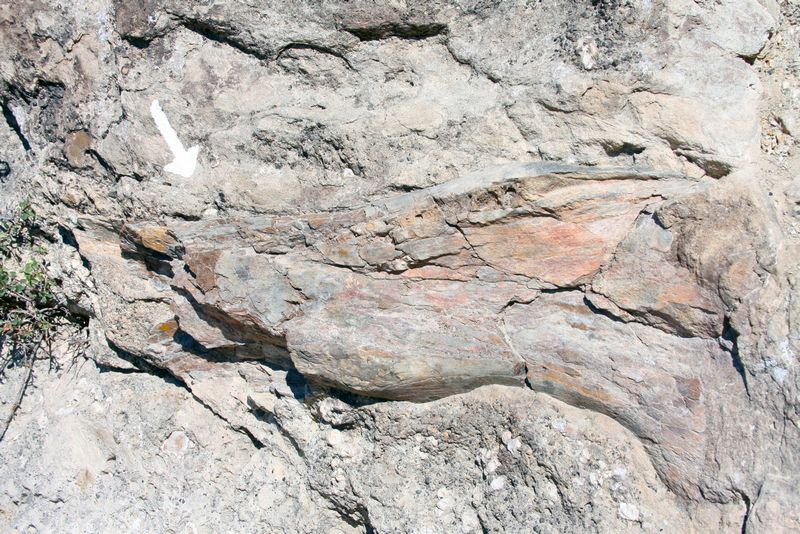 Click to see next picture