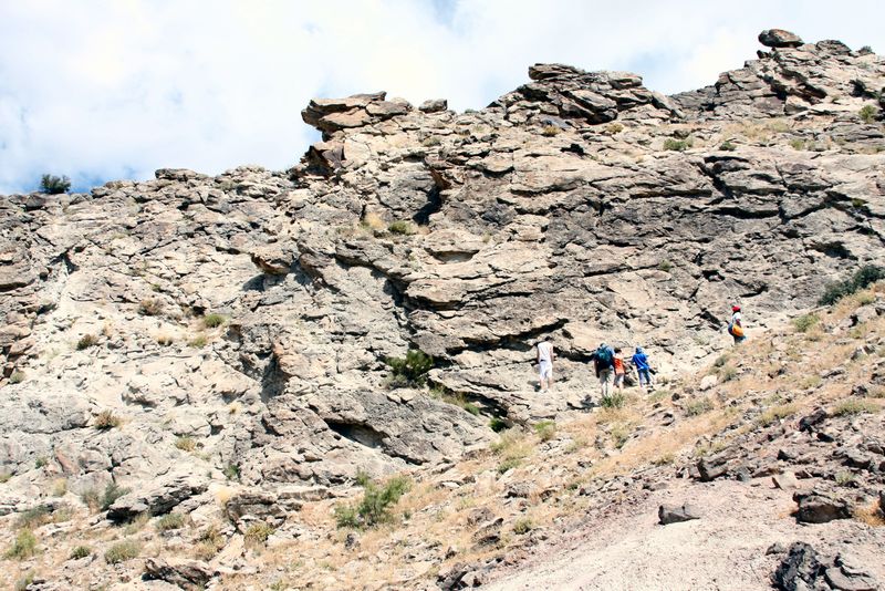 Click to see next picture