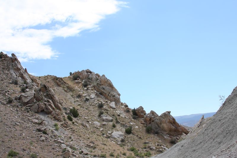 Click to see next picture