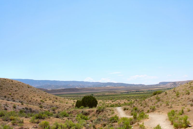 Click to see next picture