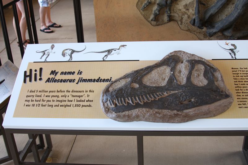 Click to see next picture