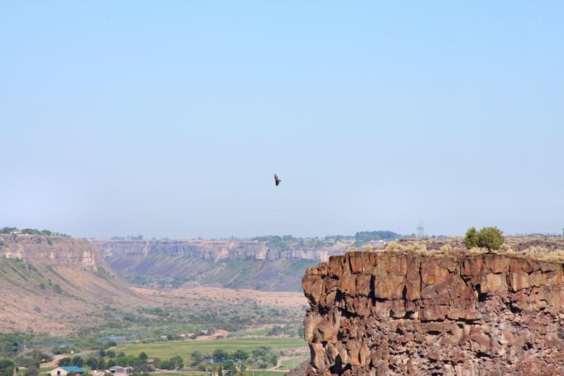 Click to see next picture