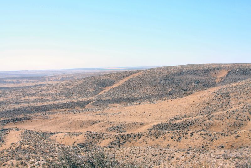 Click to see next picture