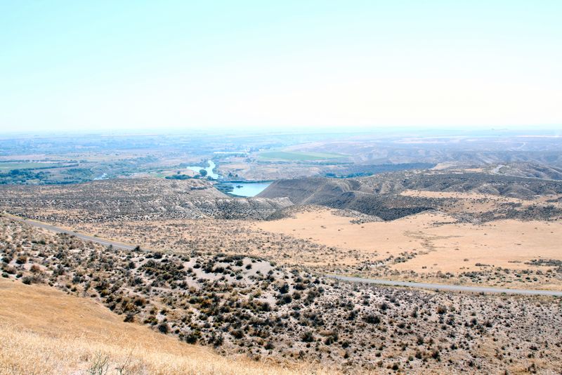 Click to see next picture