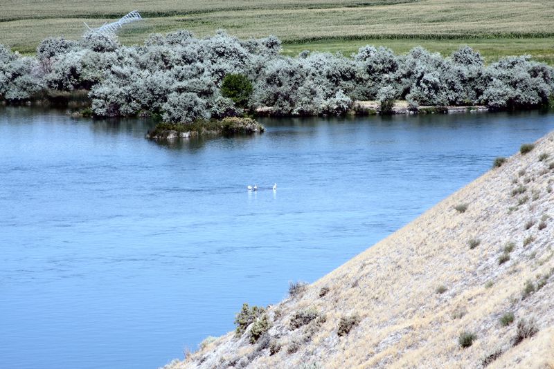 Click to see next picture