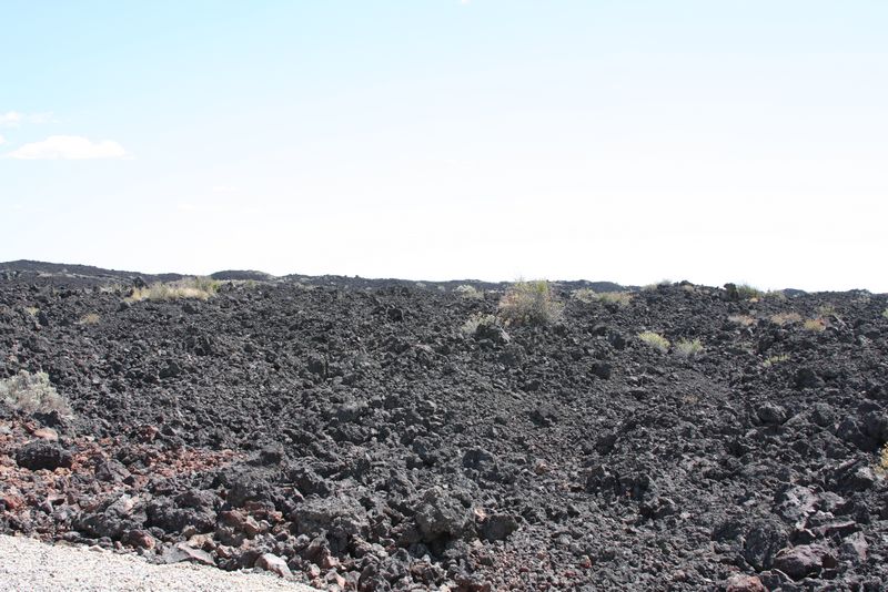 Click to see next picture