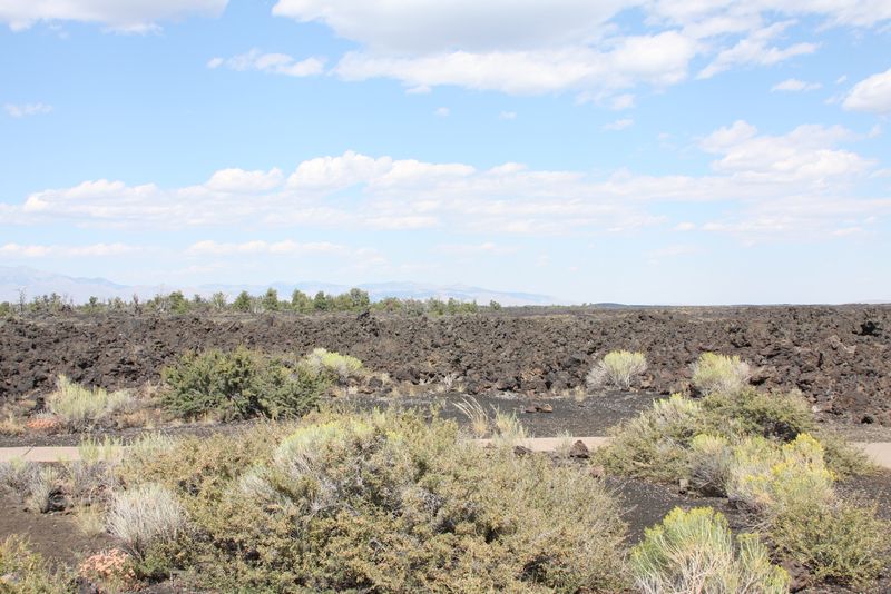 Click to see next picture