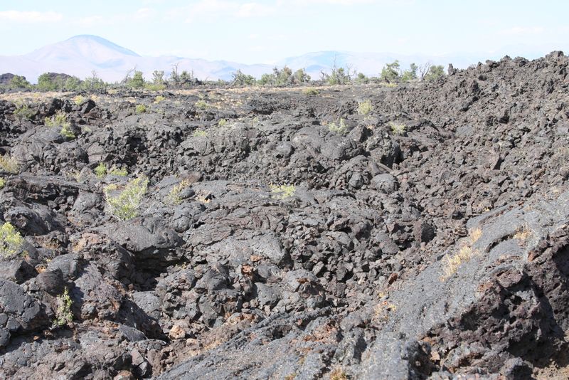 Click to see next picture