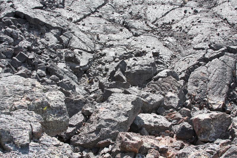 Click to see next picture