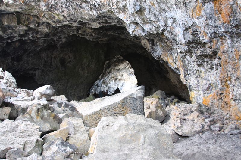 Click to see next picture