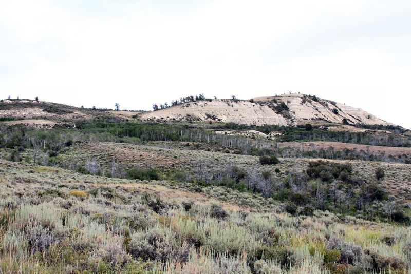 Click to see next picture