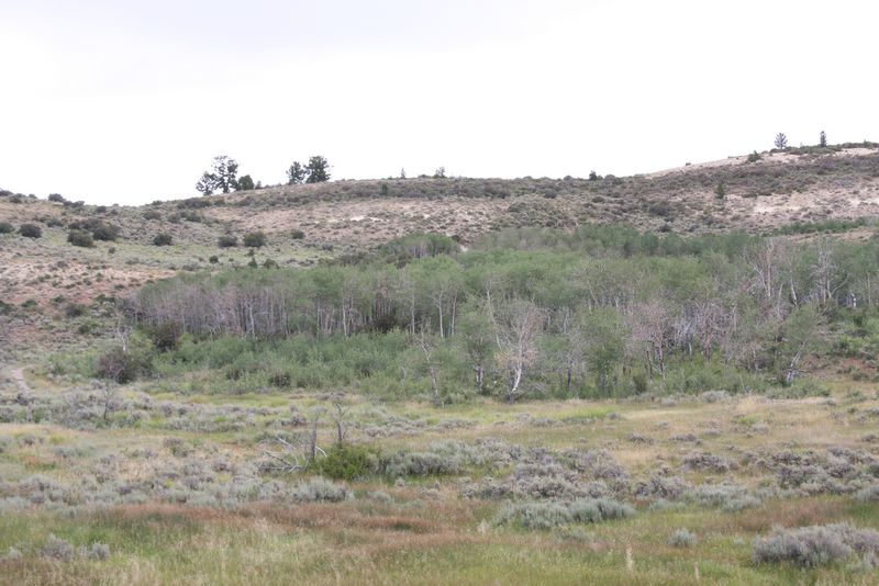 Click to see next picture