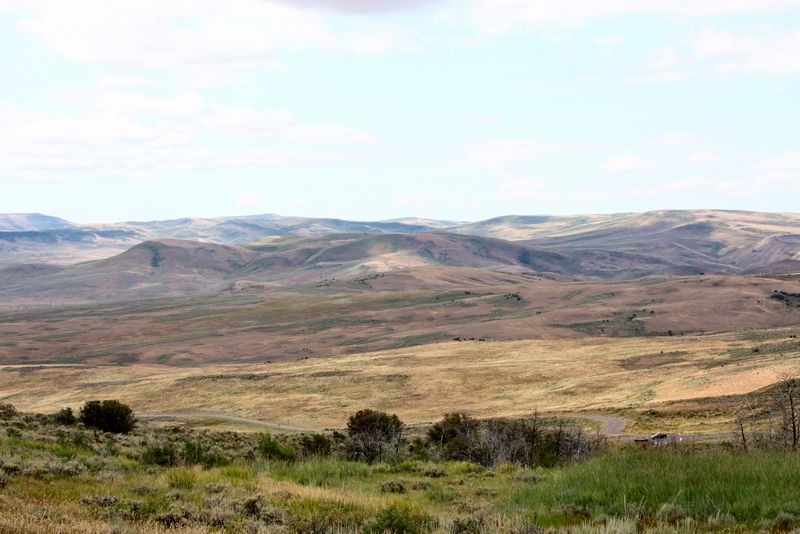 Click to see next picture