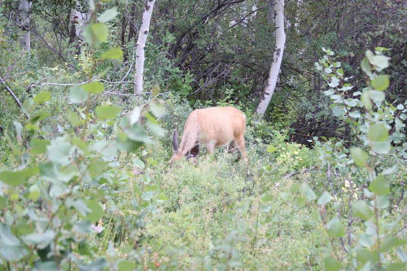 Click to see next picture