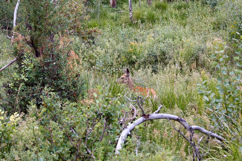 Click to see next picture