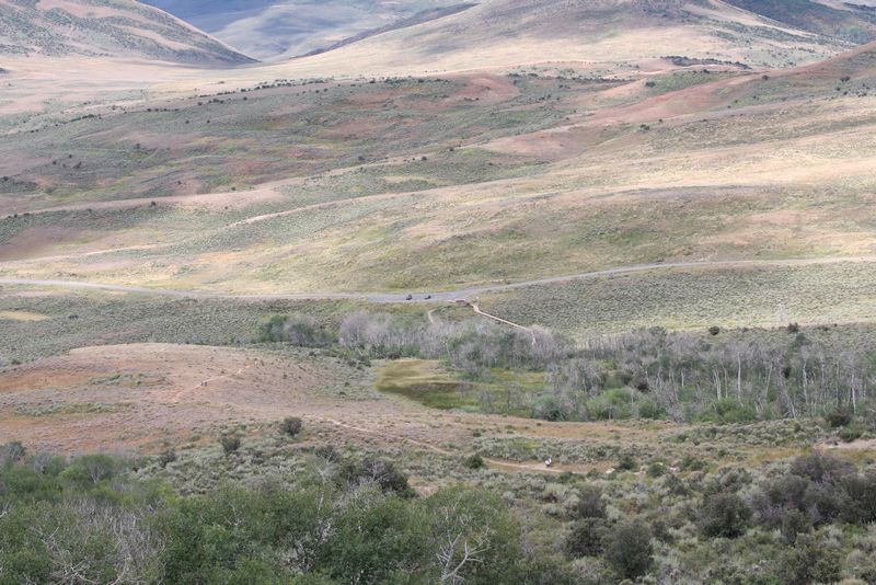 Click to see next picture