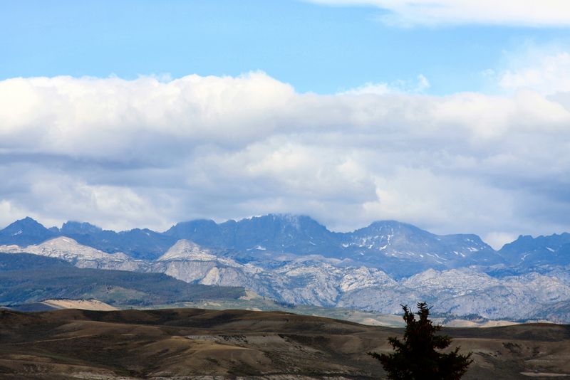 Click to see thumbs page