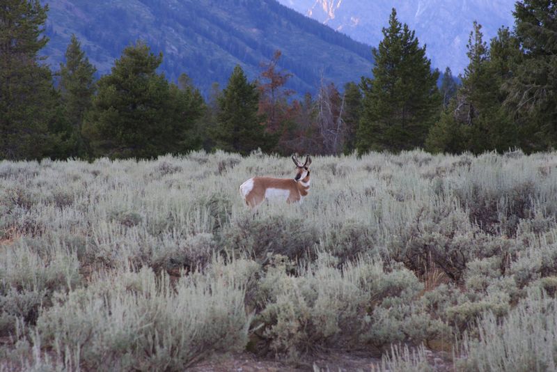 Click to see next picture